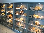 Mineralogische Sammlung Stulln